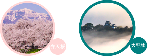 弁天桜 大野城 福井 勝山 民泊 秘密基地