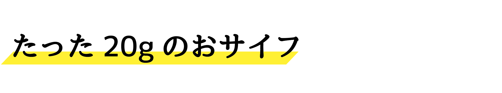 たった20gのお財布