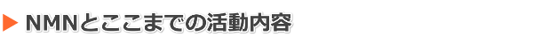 NMNの活動内容