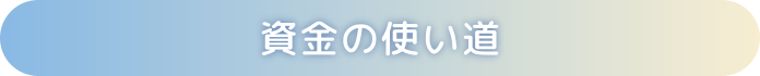 資金の使い道