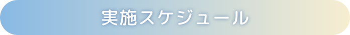 実施スケジュール