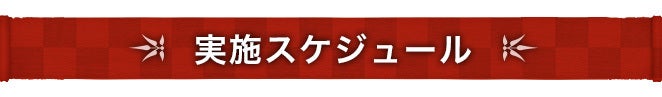 実施スケジュール