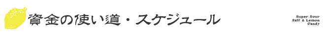 資金の使い道・スケジュール