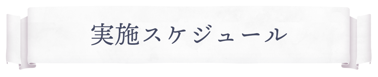 実施スケジュール