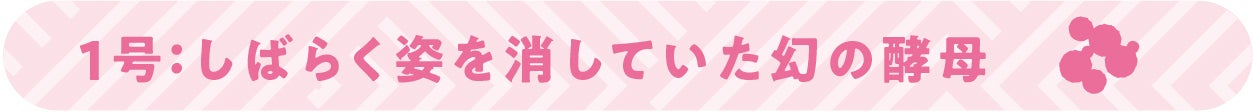 1号:しばらく姿を消していた幻の酵母