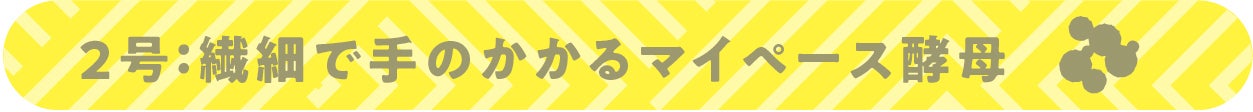 2号：繊細で手のかかるマイペース酵母