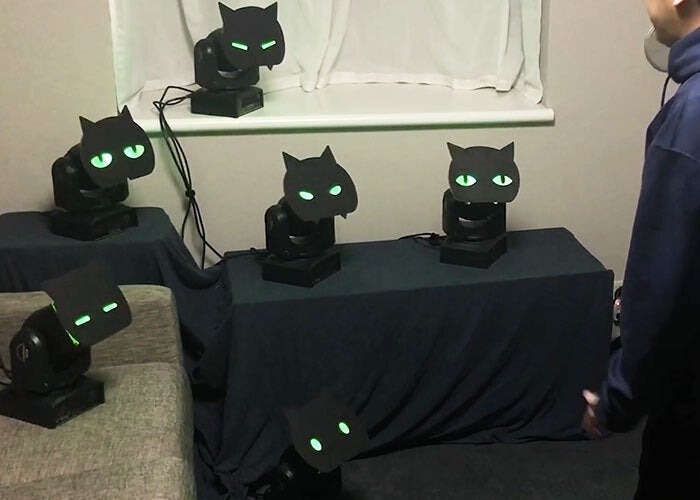 Ponboks こっちを見てくる黒猫たち