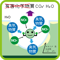 コーティング被膜内の分解メカニズム