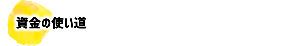 資金の使い道