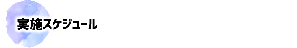 実施スケジュール