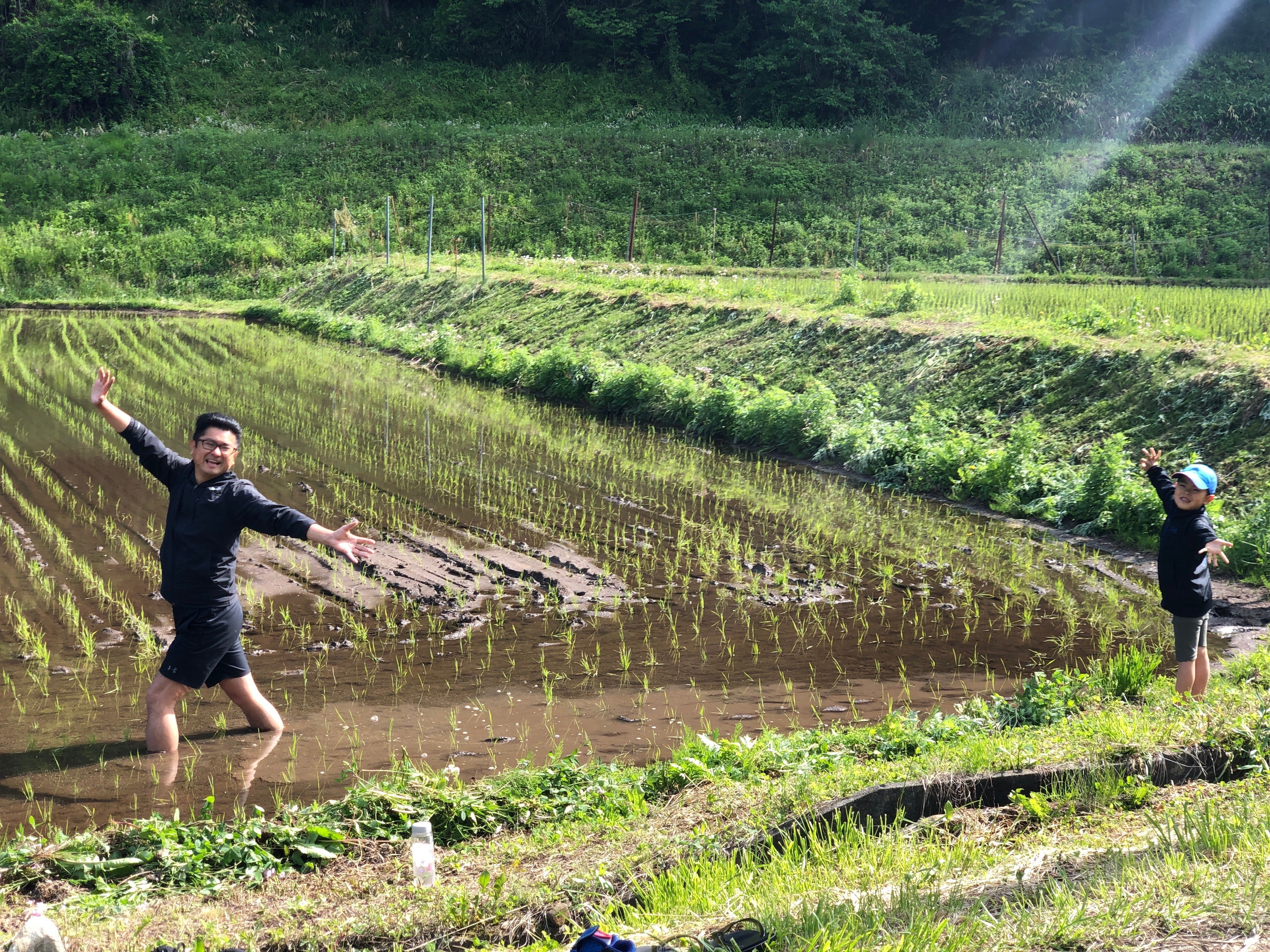 田植え作業 子どもと
