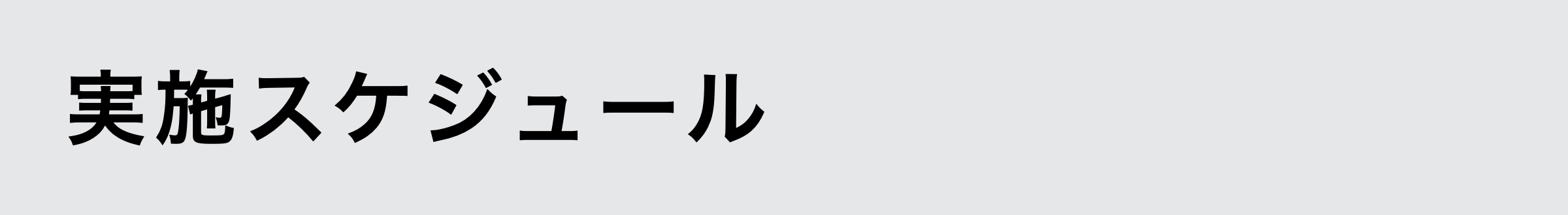 実施スケジュール
