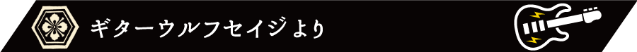 ギターウルフセイジより