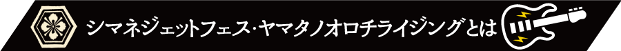 シマネジェットフェス・ヤマタノオロチライジングとは