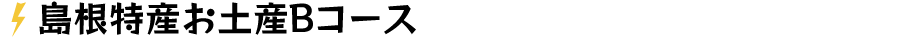 島根特産お土産Bコース