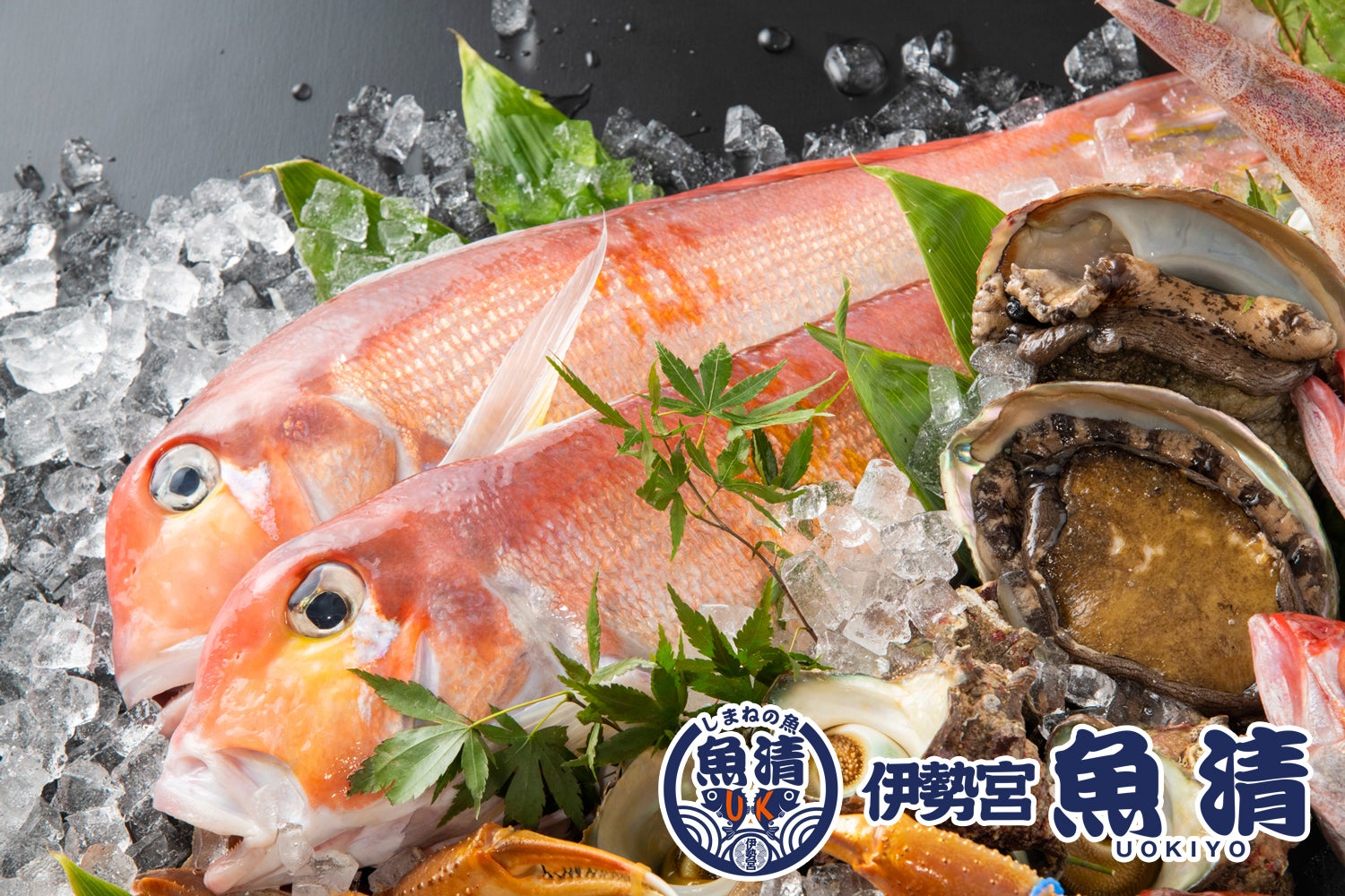 ②山陰のお魚番長厳選！お一人様用天然鮮魚セット