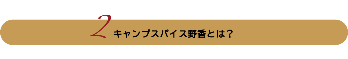 キャンプスパイス野香とは?