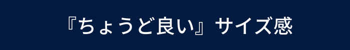 ちょうど良いサイズ感
