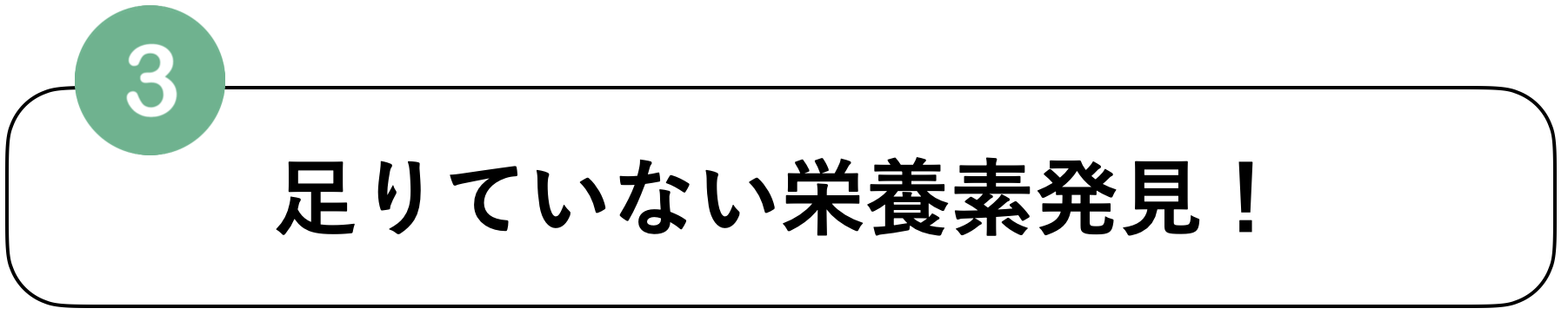 足りない栄養素発見!