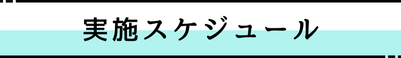 ◆実施スケジュール
