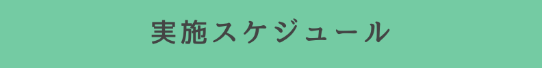 ◆実施スケジュール