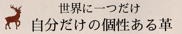 世界に一つだけの革