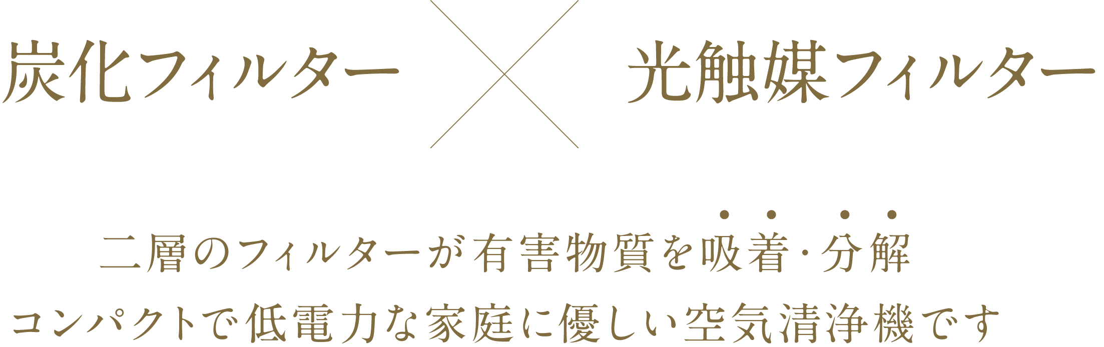 炭化フィルターX光触媒フィルター