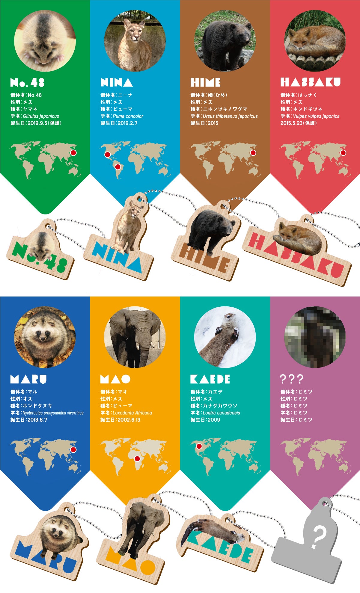 大牟田市動物園 どうぶつ木ーホルダー