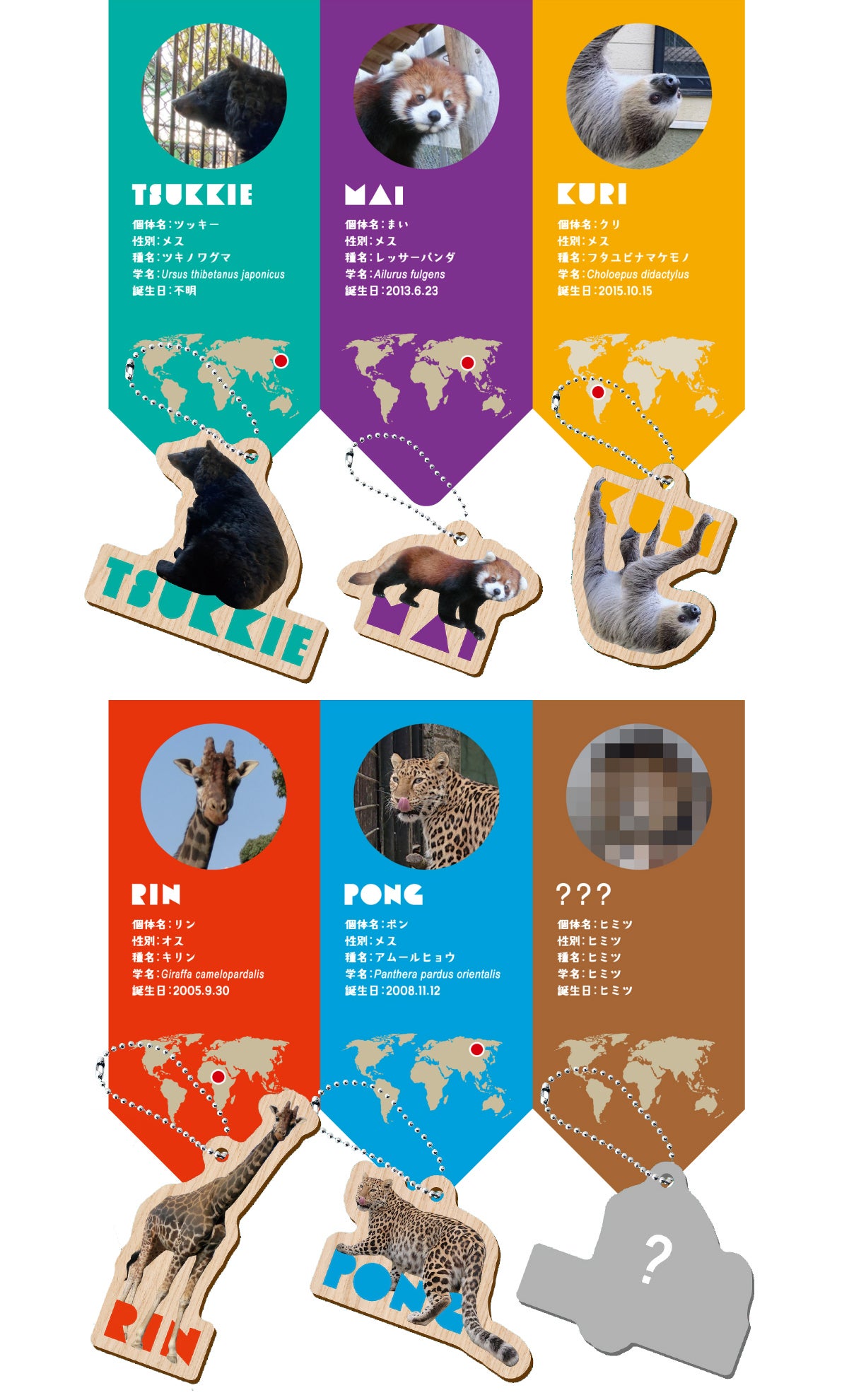 盛岡市動物公園 ZOOMO どうぶつ木ーホルダー