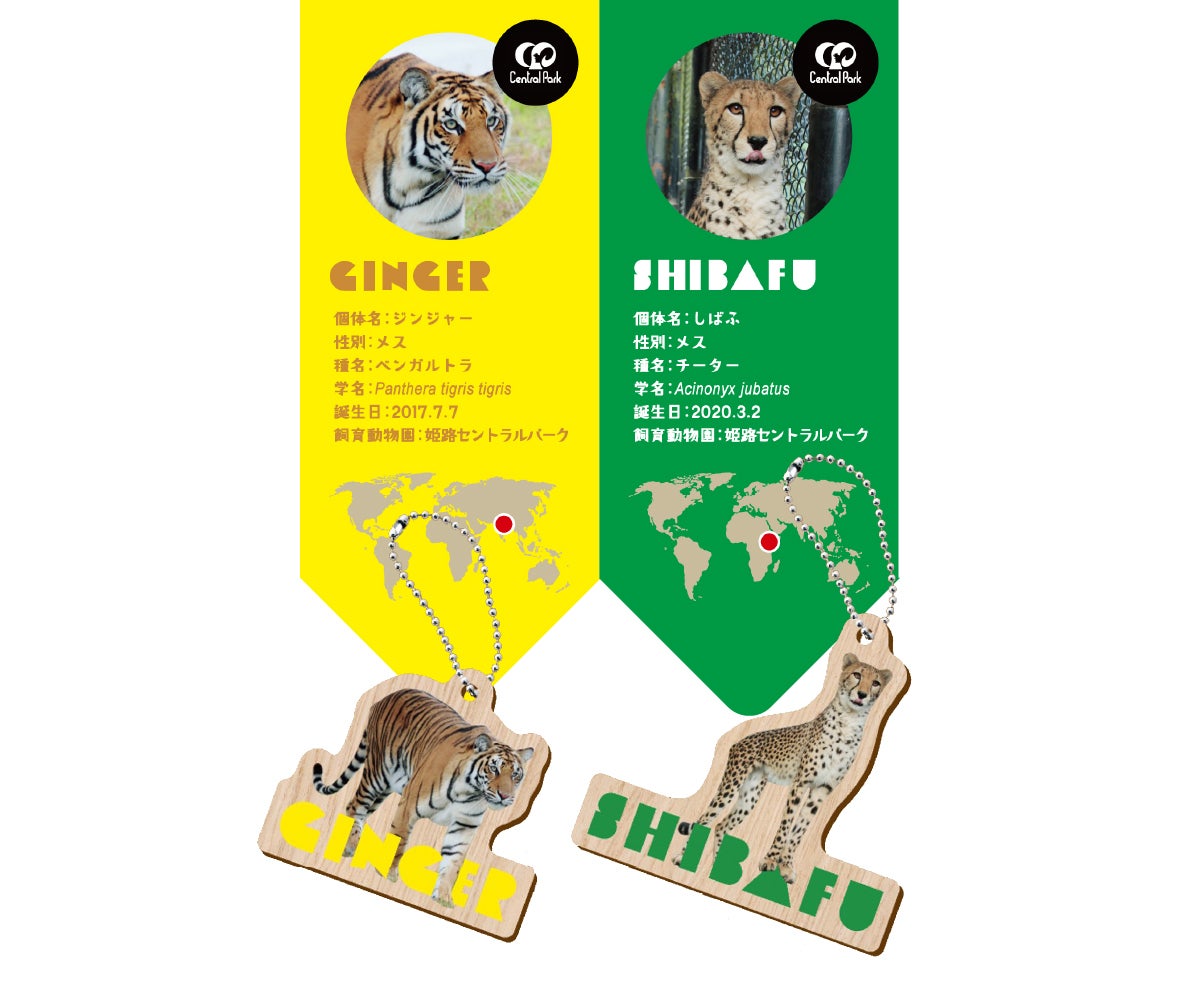 姫路セントラルパーク どうぶつ木ーホルダー