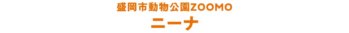 盛岡市動物公園ZOOMO ニーナ