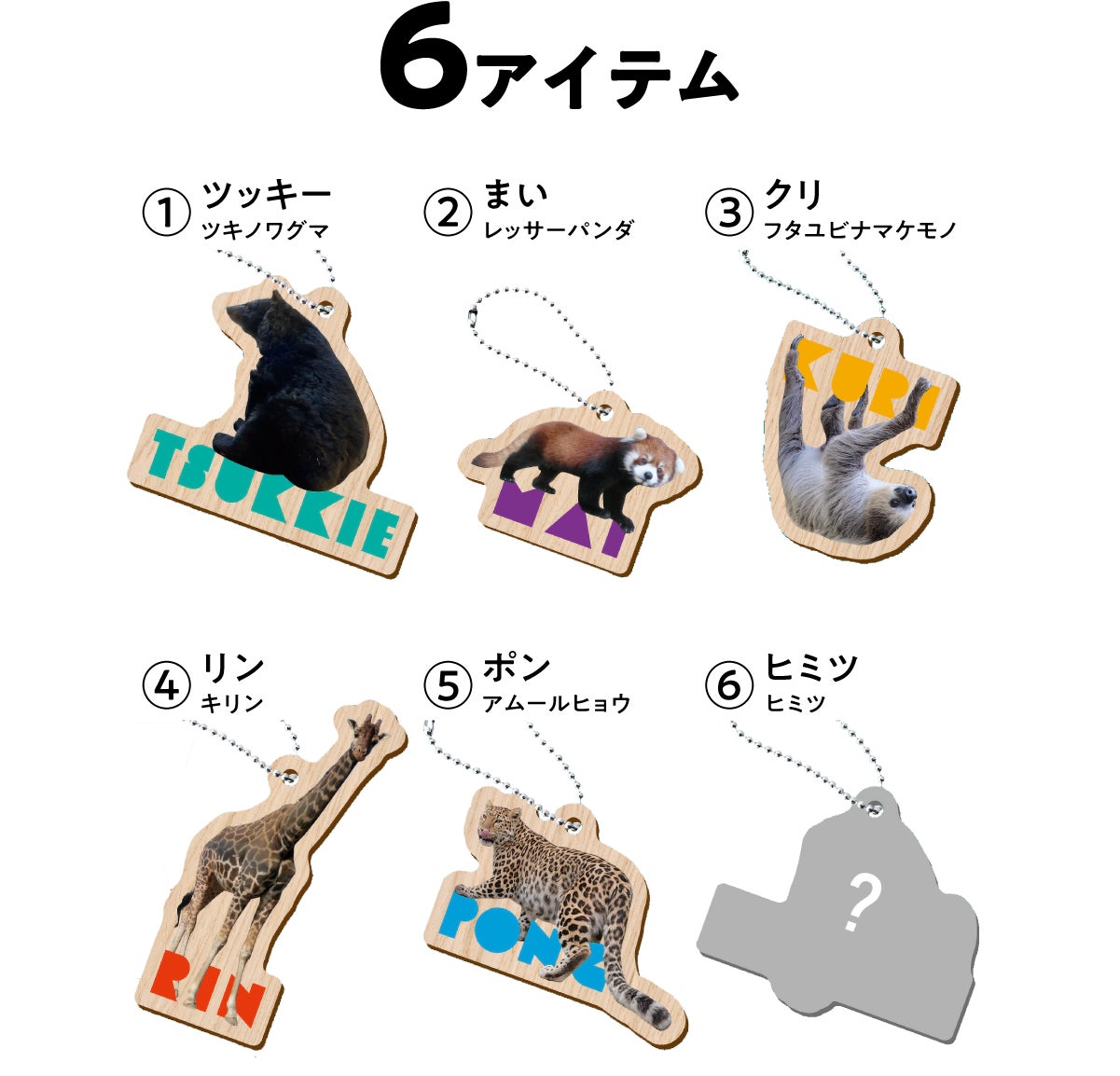 盛岡市動物公園 ZOOMO どうぶつ木ーホルダー