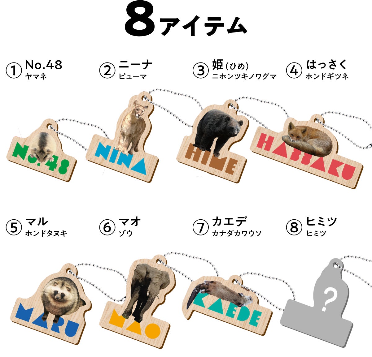 大牟田市動物園 どうぶつ木ーホルダー