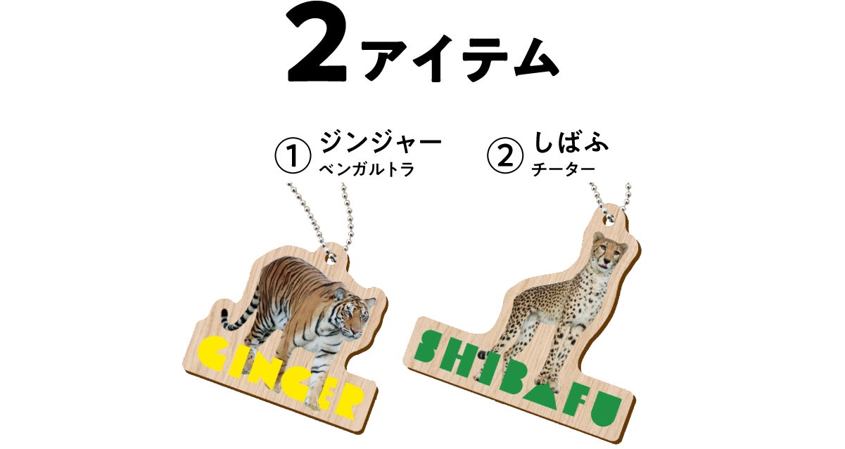 姫路セントラルパーク　どうぶつ木ーホルダー