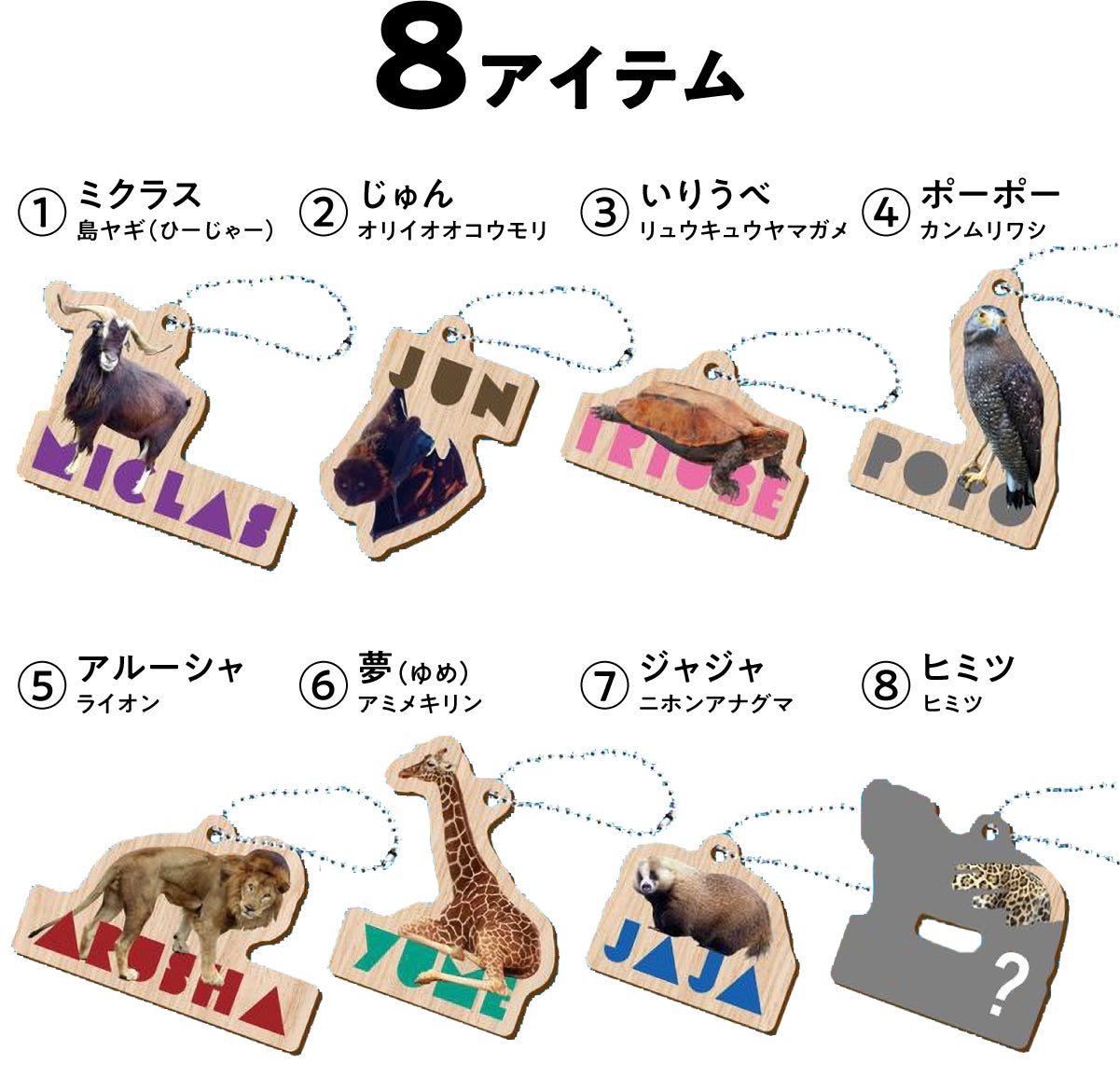 沖縄こどもの国 どうぶつ木ーホルダー