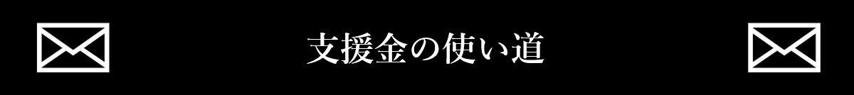 支援金の使い道
