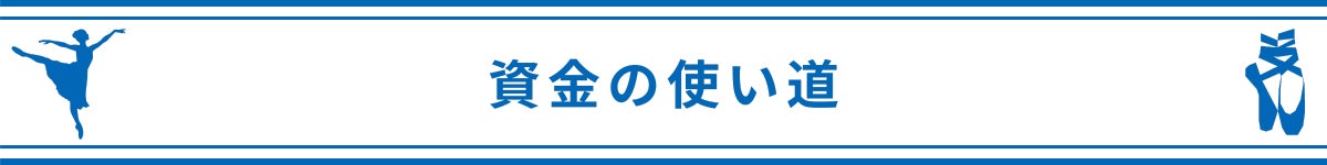 資金の使い道