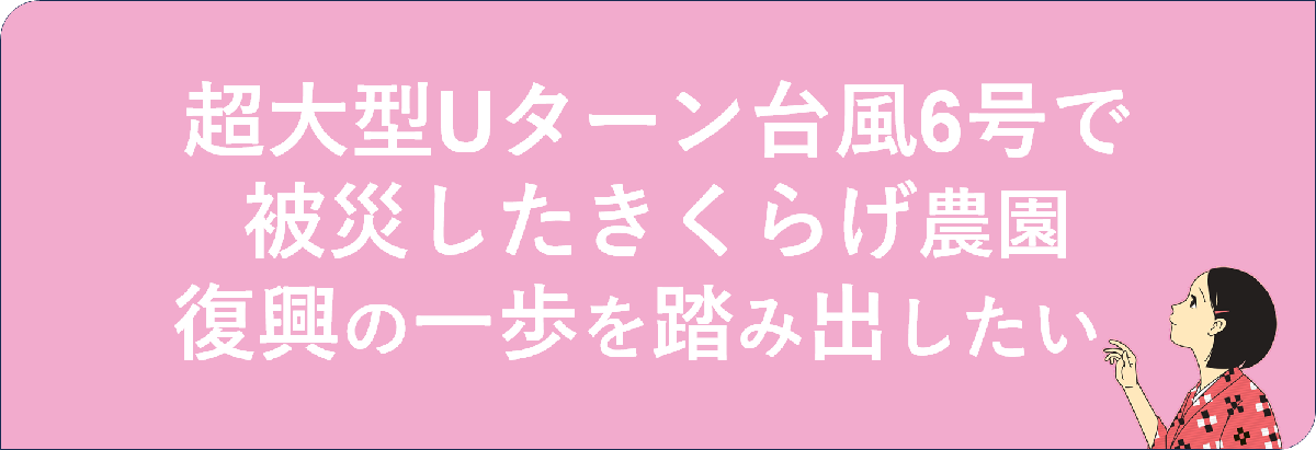 <h2>大型Uターン台風6号で被災したきくらげ農園、持続可能な復興の第一歩を皆様と踏み出したい</h2>