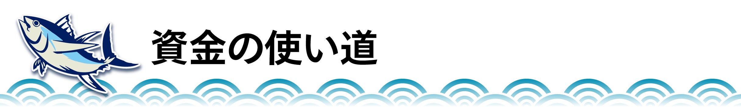 資金の使い道
