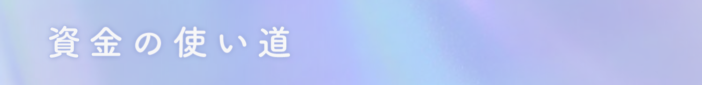 資金の使い道