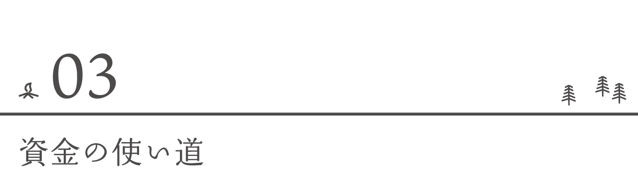 資金の使い道
