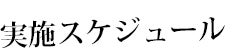実施スケジュール