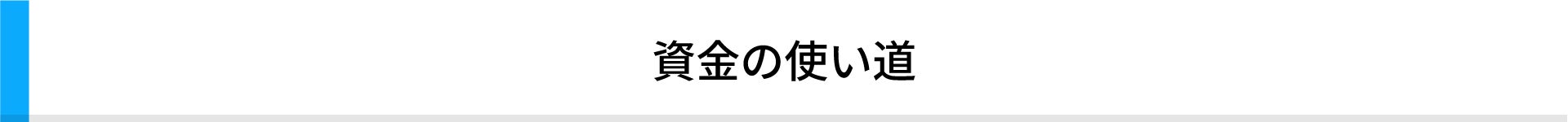 資金の使い道