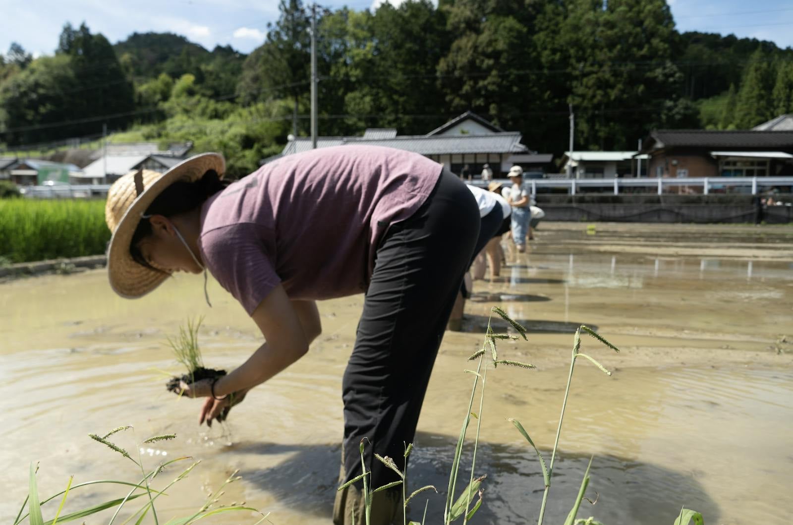 屋外, 人, 男, 板 が含まれている画像AI 生成コンテンツは誤りを含む可能性があります。