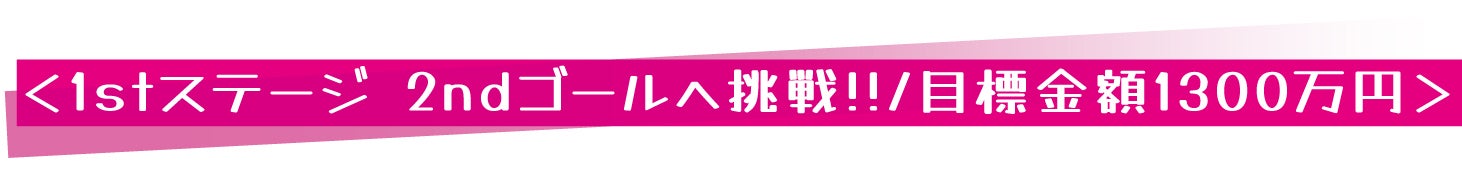 <1stステージ 2ndゴールへ挑戦!!/目標金額1300万円>