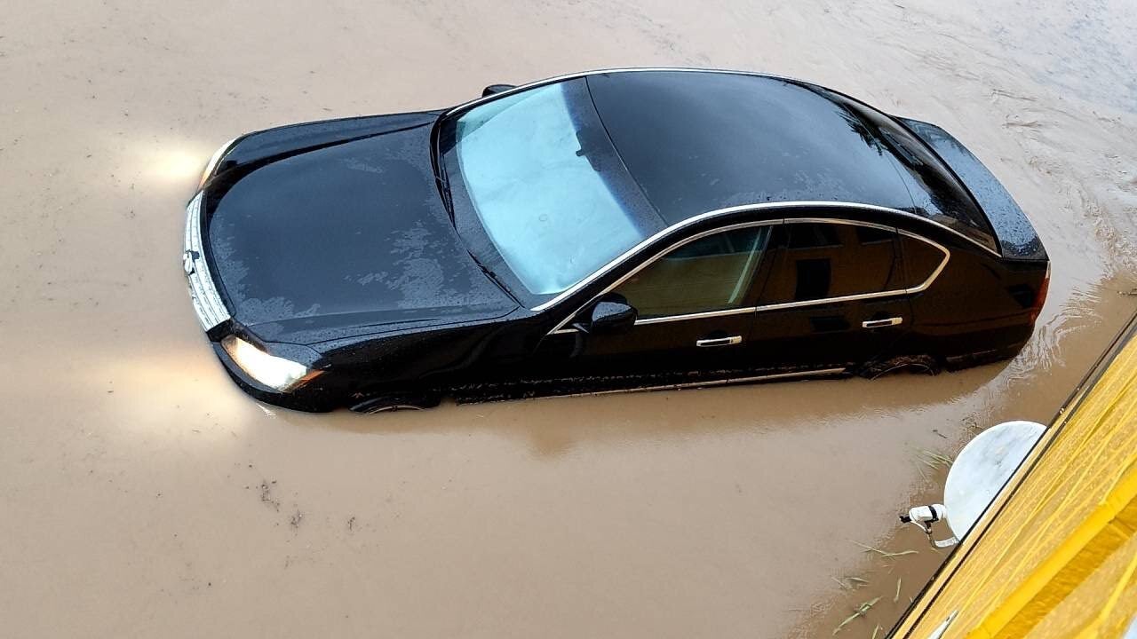 当社スタッフの車です