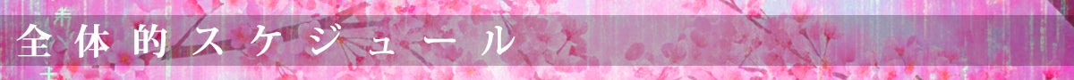 全体的スケジュール