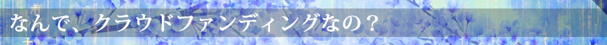 なぜ、クラウドファンディングなの？
