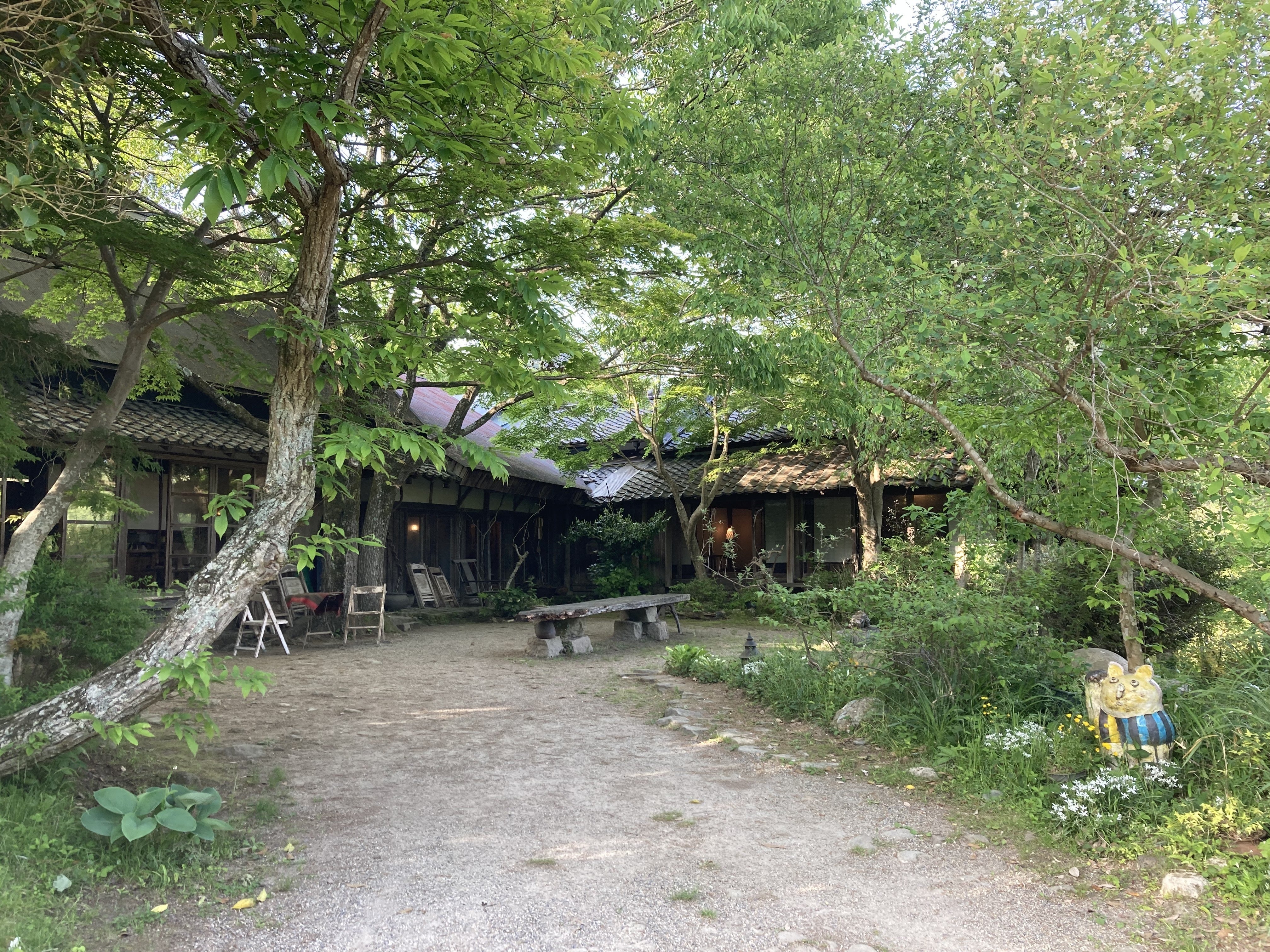 写真画像ー新緑のギャラリー夢雲