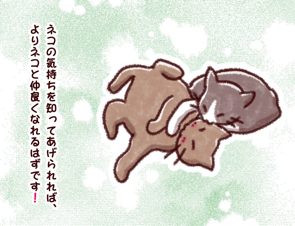 ネコの気持ちを知ってあげられれば、よりネコと仲良くなれるはずです!